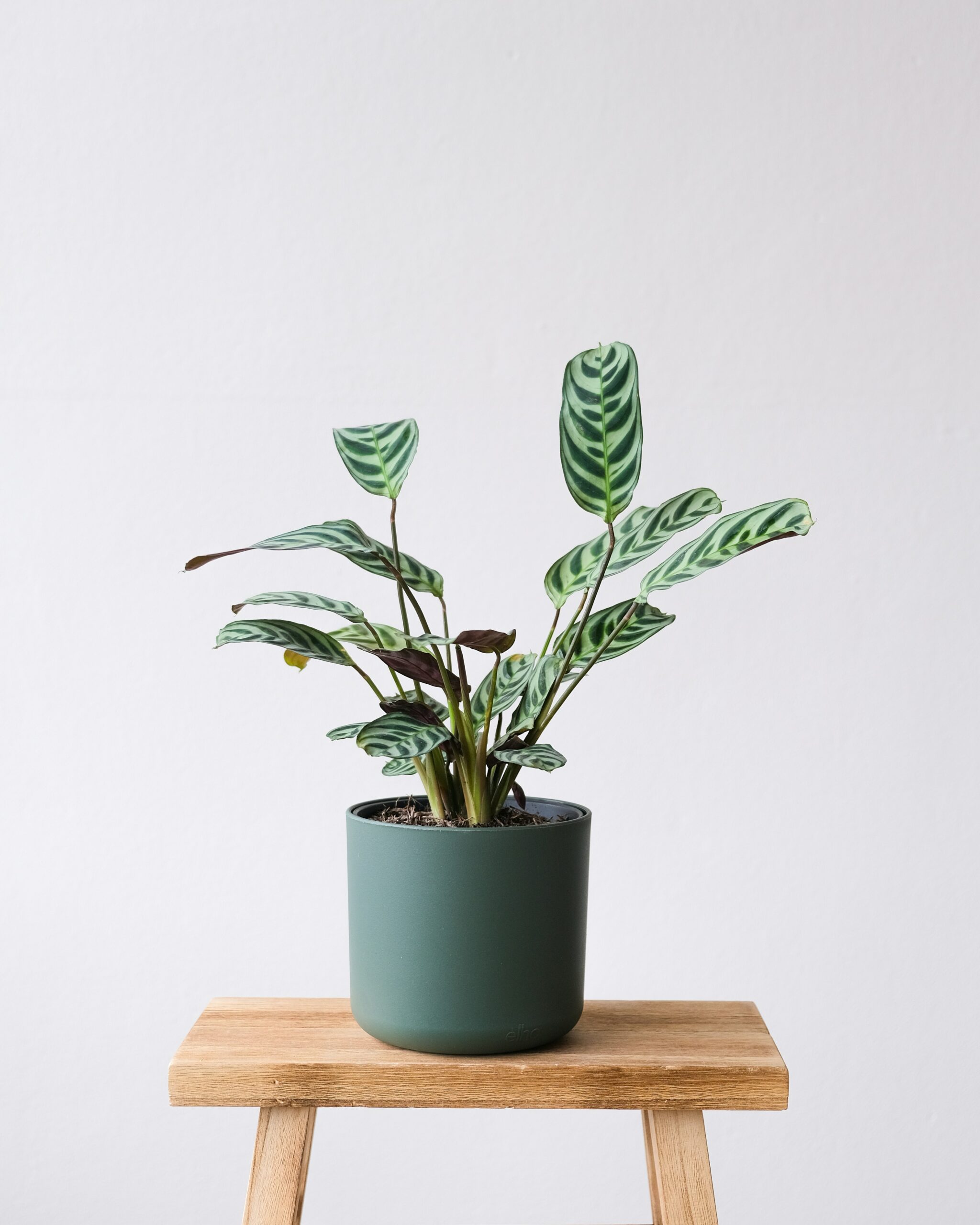 feey-2X9PfLKSuh4-unsplash